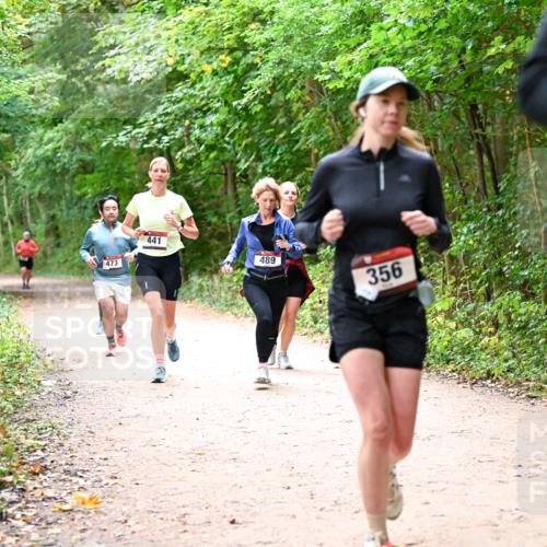 11.10.2026 - Bramfelder Halbmarathon 2026 Dr. Thomas Lammeyer http://msf.ph/oto/10817003 11.10.2026 09:55:18 Laufen 473, 441, 489, 356 meine-sportfotos.de