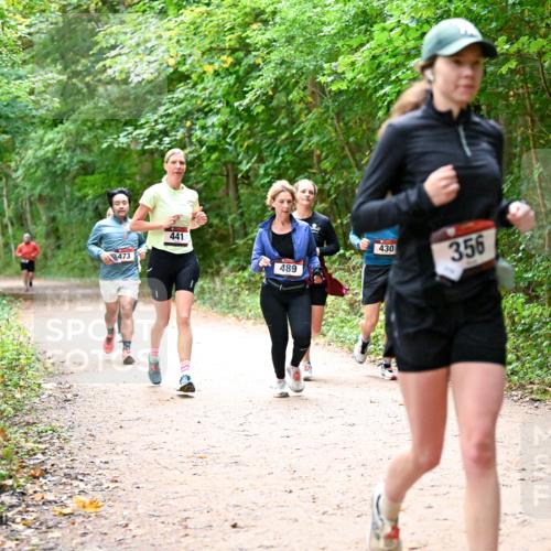 11.10.2026 - Bramfelder Halbmarathon 2026 Dr. Thomas Lammeyer http://msf.ph/oto/10817005 11.10.2026 09:55:18 Laufen 473, 441, 489, 430, 356 meine-sportfotos.de