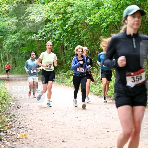 11.10.2026 - Bramfelder Halbmarathon 2026 Dr. Thomas Lammeyer http://msf.ph/oto/10817006 11.10.2026 09:55:18 Laufen 473, 441, 489, 356 meine-sportfotos.de