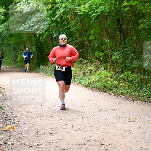 11.10.2026 - Bramfelder Halbmarathon 2026 Dr. Thomas Lammeyer http://msf.ph/oto/10817037 11.10.2026 09:55:30 Laufen 278 meine-sportfotos.de