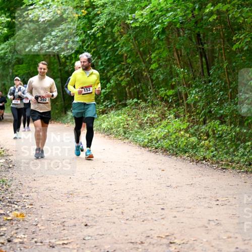 11.10.2026 - Bramfelder Halbmarathon 2026 Dr. Thomas Lammeyer http://msf.ph/oto/10817084 11.10.2026 09:56:00 Laufen 392, 358, 805, 152 meine-sportfotos.de