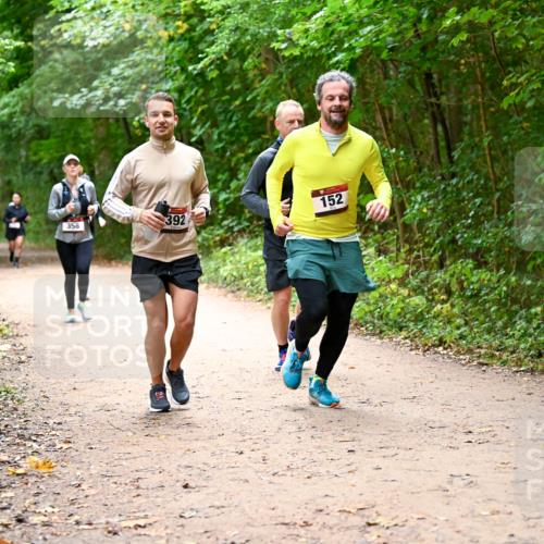 11.10.2026 - Bramfelder Halbmarathon 2026 Dr. Thomas Lammeyer http://msf.ph/oto/10817092 11.10.2026 09:56:01 Laufen 152, 358, 392 meine-sportfotos.de