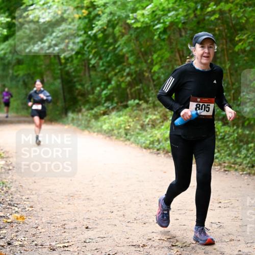 11.10.2026 - Bramfelder Halbmarathon 2026 Dr. Thomas Lammeyer http://msf.ph/oto/10817126 11.10.2026 09:56:06 Laufen 805 meine-sportfotos.de