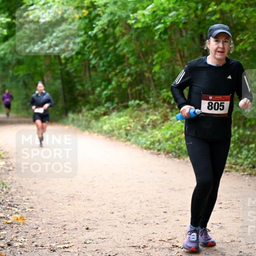 11.10.2026 - Bramfelder Halbmarathon 2026 Dr. Thomas Lammeyer http://msf.ph/oto/10817127 11.10.2026 09:56:07 Laufen 805 meine-sportfotos.de