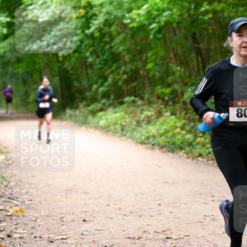 11.10.2026 - Bramfelder Halbmarathon 2026 Dr. Thomas Lammeyer http://msf.ph/oto/10817129 11.10.2026 09:56:07 Laufen 35, 805 meine-sportfotos.de