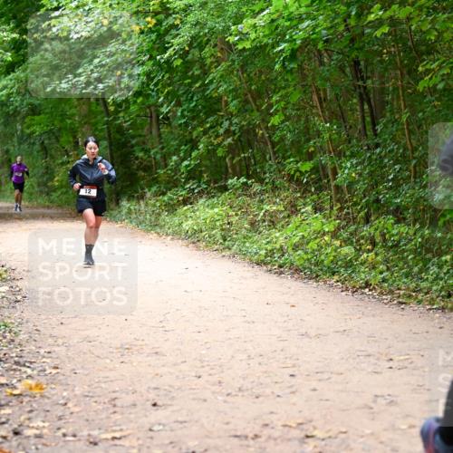 11.10.2026 - Bramfelder Halbmarathon 2026 Dr. Thomas Lammeyer http://msf.ph/oto/10817130 11.10.2026 09:56:07 Laufen 12 meine-sportfotos.de