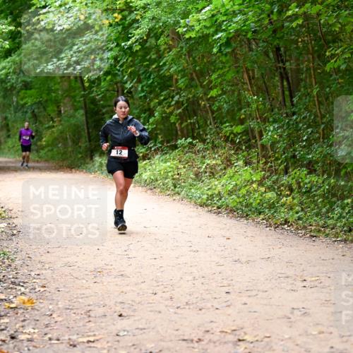 11.10.2026 - Bramfelder Halbmarathon 2026 Dr. Thomas Lammeyer http://msf.ph/oto/10817136 11.10.2026 09:56:09 Laufen 12 meine-sportfotos.de