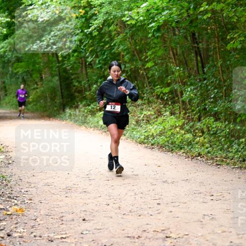 11.10.2026 - Bramfelder Halbmarathon 2026 Dr. Thomas Lammeyer http://msf.ph/oto/10817141 11.10.2026 09:56:09 Laufen 12 meine-sportfotos.de