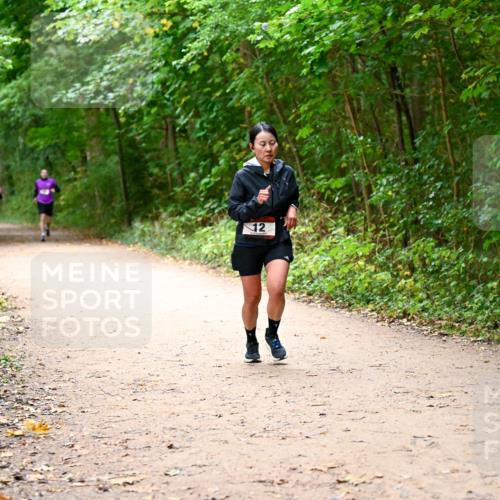 11.10.2026 - Bramfelder Halbmarathon 2026 Dr. Thomas Lammeyer http://msf.ph/oto/10817143 11.10.2026 09:56:10 Laufen 12 meine-sportfotos.de