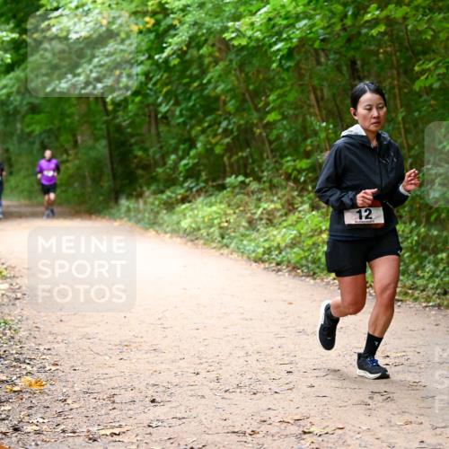 11.10.2026 - Bramfelder Halbmarathon 2026 Dr. Thomas Lammeyer http://msf.ph/oto/10817150 11.10.2026 09:56:11 Laufen 12 meine-sportfotos.de