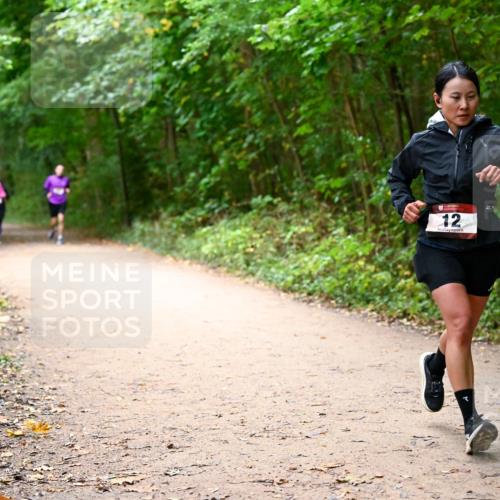 11.10.2026 - Bramfelder Halbmarathon 2026 Dr. Thomas Lammeyer http://msf.ph/oto/10817152 11.10.2026 09:56:11 Laufen 12 meine-sportfotos.de