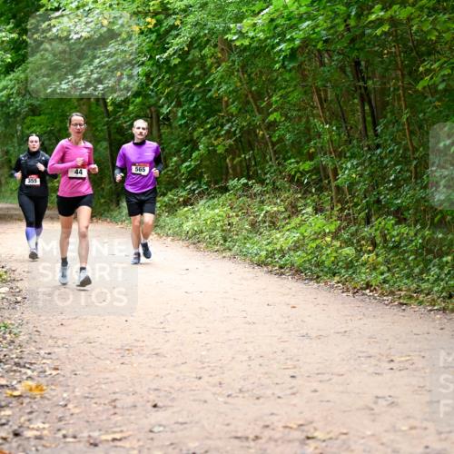 11.10.2026 - Bramfelder Halbmarathon 2026 Dr. Thomas Lammeyer http://msf.ph/oto/10817157 11.10.2026 09:56:17 Laufen 355, 44, 565 meine-sportfotos.de