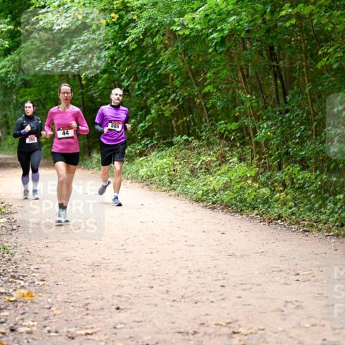 11.10.2026 - Bramfelder Halbmarathon 2026 Dr. Thomas Lammeyer http://msf.ph/oto/10817159 11.10.2026 09:56:17 Laufen 565, 44, 355 meine-sportfotos.de