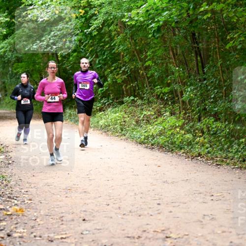 11.10.2026 - Bramfelder Halbmarathon 2026 Dr. Thomas Lammeyer http://msf.ph/oto/10817160 11.10.2026 09:56:17 Laufen 355, 44, 565 meine-sportfotos.de
