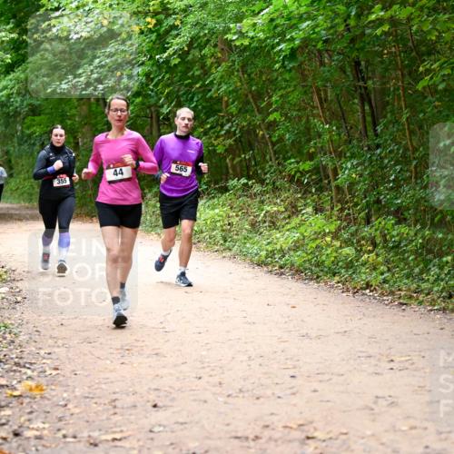 11.10.2026 - Bramfelder Halbmarathon 2026 Dr. Thomas Lammeyer http://msf.ph/oto/10817163 11.10.2026 09:56:18 Laufen 355, 44, 565 meine-sportfotos.de