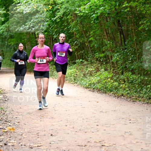 11.10.2026 - Bramfelder Halbmarathon 2026 Dr. Thomas Lammeyer http://msf.ph/oto/10817164 11.10.2026 09:56:18 Laufen 355, 44, 565 meine-sportfotos.de