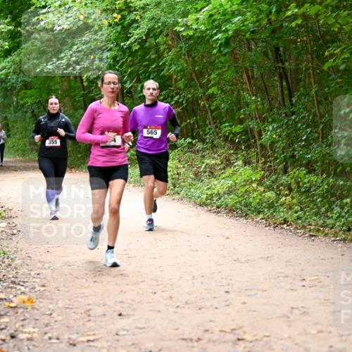 11.10.2026 - Bramfelder Halbmarathon 2026 Dr. Thomas Lammeyer http://msf.ph/oto/10817165 11.10.2026 09:56:18 Laufen 565, 355 meine-sportfotos.de