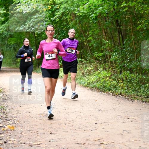 11.10.2026 - Bramfelder Halbmarathon 2026 Dr. Thomas Lammeyer http://msf.ph/oto/10817167 11.10.2026 09:56:18 Laufen 355, 44, 565 meine-sportfotos.de