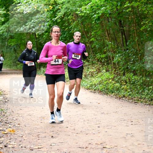 11.10.2026 - Bramfelder Halbmarathon 2026 Dr. Thomas Lammeyer http://msf.ph/oto/10817168 11.10.2026 09:56:19 Laufen 355, 44, 565 meine-sportfotos.de