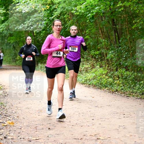 11.10.2026 - Bramfelder Halbmarathon 2026 Dr. Thomas Lammeyer http://msf.ph/oto/10817169 11.10.2026 09:56:19 Laufen 355, 44, 565 meine-sportfotos.de