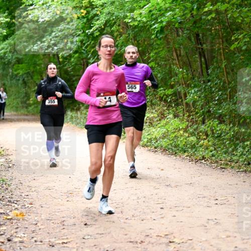 11.10.2026 - Bramfelder Halbmarathon 2026 Dr. Thomas Lammeyer http://msf.ph/oto/10817170 11.10.2026 09:56:19 Laufen 355, 565 meine-sportfotos.de