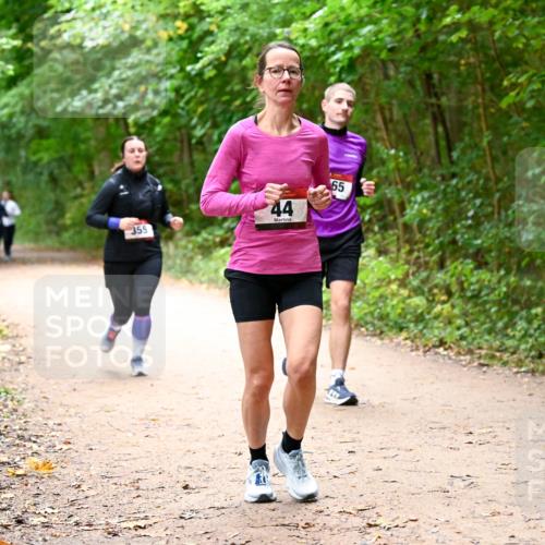 11.10.2026 - Bramfelder Halbmarathon 2026 Dr. Thomas Lammeyer http://msf.ph/oto/10817173 11.10.2026 09:56:19 Laufen 355, 44, 65 meine-sportfotos.de