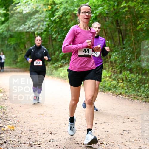 11.10.2026 - Bramfelder Halbmarathon 2026 Dr. Thomas Lammeyer http://msf.ph/oto/10817174 11.10.2026 09:56:19 Laufen 355, 44, 565 meine-sportfotos.de