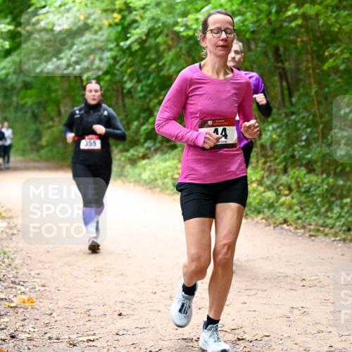 11.10.2026 - Bramfelder Halbmarathon 2026 Dr. Thomas Lammeyer http://msf.ph/oto/10817175 11.10.2026 09:56:19 Laufen 355, 14 meine-sportfotos.de