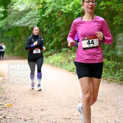 11.10.2026 - Bramfelder Halbmarathon 2026 Dr. Thomas Lammeyer http://msf.ph/oto/10817177 11.10.2026 09:56:20 Laufen 35, 44 meine-sportfotos.de