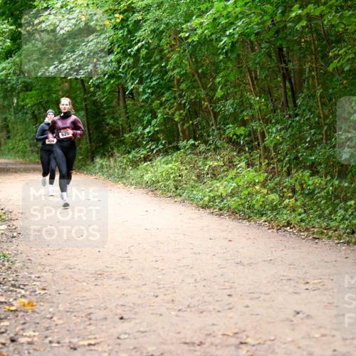 11.10.2026 - Bramfelder Halbmarathon 2026 Dr. Thomas Lammeyer http://msf.ph/oto/10817251 11.10.2026 09:56:43 Laufen 625 meine-sportfotos.de