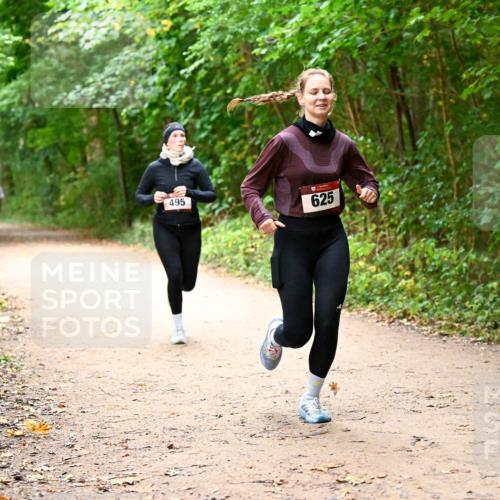 11.10.2026 - Bramfelder Halbmarathon 2026 Dr. Thomas Lammeyer http://msf.ph/oto/10817273 11.10.2026 09:56:46 Laufen 495, 625 meine-sportfotos.de