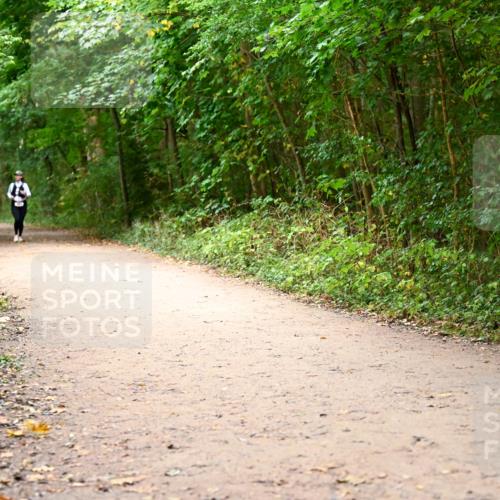 11.10.2026 - Bramfelder Halbmarathon 2026 Dr. Thomas Lammeyer http://msf.ph/oto/10817295 11.10.2026 09:56:49 Laufen  meine-sportfotos.de