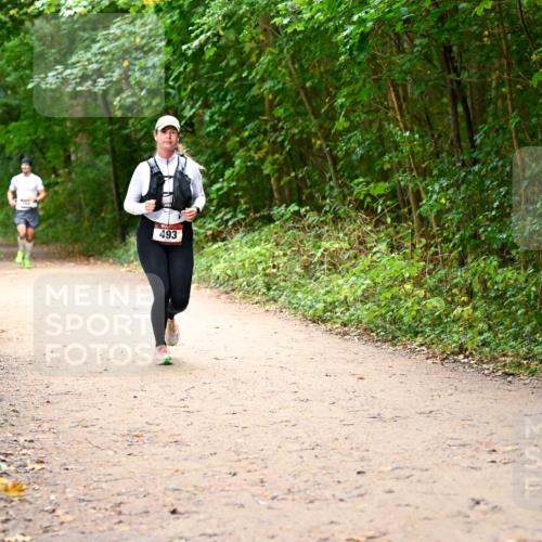 11.10.2026 - Bramfelder Halbmarathon 2026 Dr. Thomas Lammeyer http://msf.ph/oto/10817299 11.10.2026 09:56:58 Laufen 493 meine-sportfotos.de