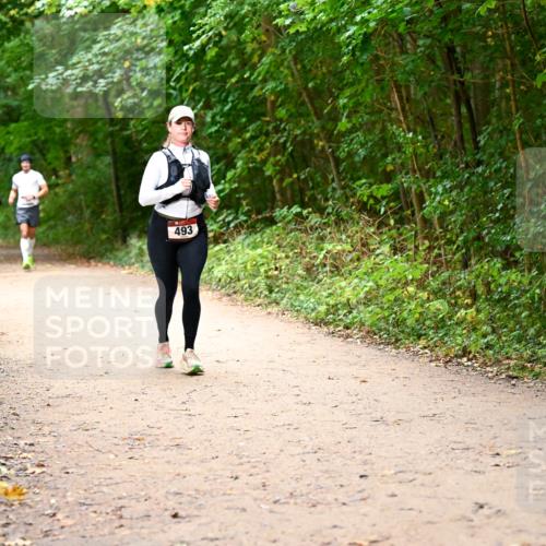 11.10.2026 - Bramfelder Halbmarathon 2026 Dr. Thomas Lammeyer http://msf.ph/oto/10817300 11.10.2026 09:56:58 Laufen 493 meine-sportfotos.de