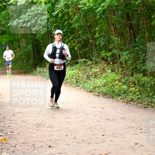 11.10.2026 - Bramfelder Halbmarathon 2026 Dr. Thomas Lammeyer http://msf.ph/oto/10817302 11.10.2026 09:56:58 Laufen 493 meine-sportfotos.de