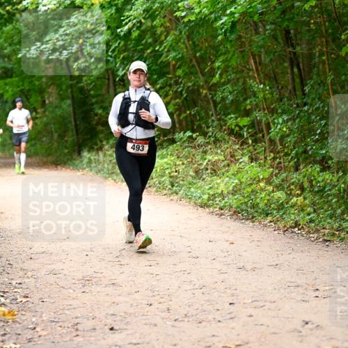 11.10.2026 - Bramfelder Halbmarathon 2026 Dr. Thomas Lammeyer http://msf.ph/oto/10817303 11.10.2026 09:56:58 Laufen 493 meine-sportfotos.de