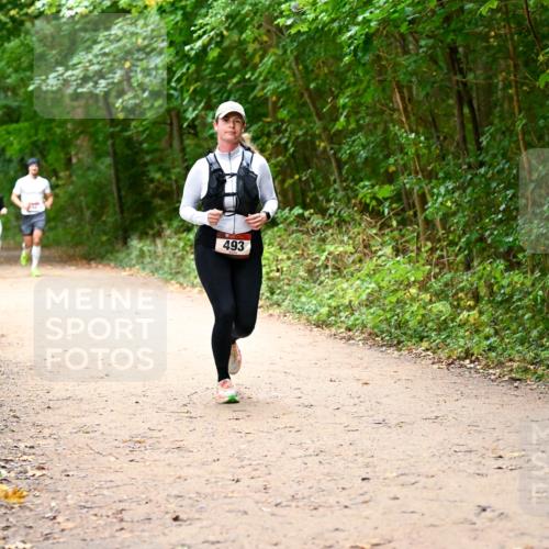 11.10.2026 - Bramfelder Halbmarathon 2026 Dr. Thomas Lammeyer http://msf.ph/oto/10817304 11.10.2026 09:56:59 Laufen 493 meine-sportfotos.de