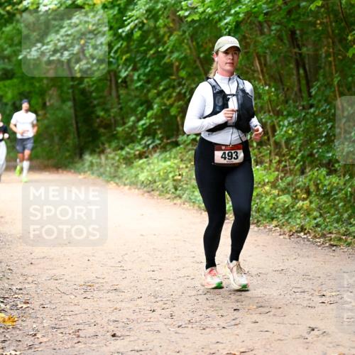 11.10.2026 - Bramfelder Halbmarathon 2026 Dr. Thomas Lammeyer http://msf.ph/oto/10817310 11.10.2026 09:56:59 Laufen 493 meine-sportfotos.de