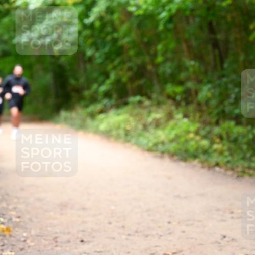 11.10.2026 - Bramfelder Halbmarathon 2026 Dr. Thomas Lammeyer http://msf.ph/oto/10817349 11.10.2026 09:57:08 Laufen  meine-sportfotos.de