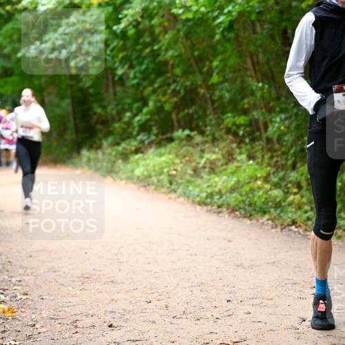 11.10.2026 - Bramfelder Halbmarathon 2026 Dr. Thomas Lammeyer http://msf.ph/oto/10817418 11.10.2026 09:57:21 Laufen 2, 768 meine-sportfotos.de