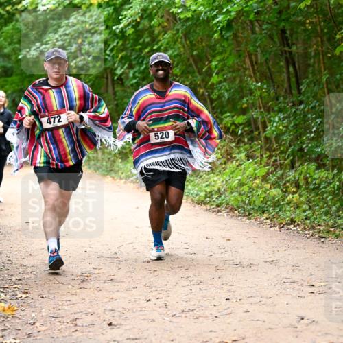 11.10.2026 - Bramfelder Halbmarathon 2026 Dr. Thomas Lammeyer http://msf.ph/oto/10817449 11.10.2026 09:57:26 Laufen 237, 472, 9, 520 meine-sportfotos.de