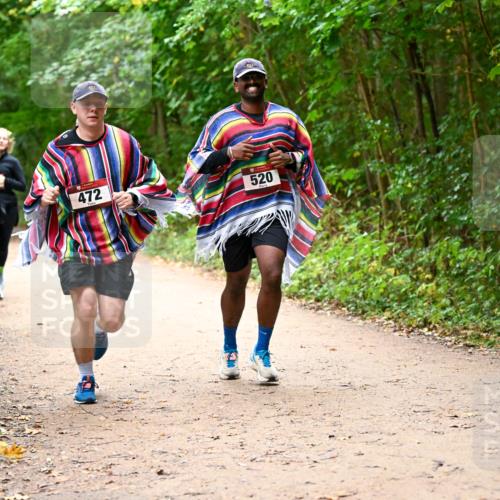 11.10.2026 - Bramfelder Halbmarathon 2026 Dr. Thomas Lammeyer http://msf.ph/oto/10817450 11.10.2026 09:57:26 Laufen 217, 472, 520 meine-sportfotos.de