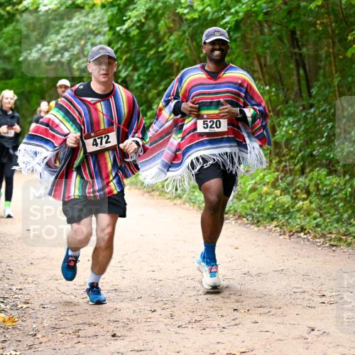 11.10.2026 - Bramfelder Halbmarathon 2026 Dr. Thomas Lammeyer http://msf.ph/oto/10817453 11.10.2026 09:57:27 Laufen 217, 472, 520 meine-sportfotos.de