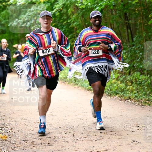 11.10.2026 - Bramfelder Halbmarathon 2026 Dr. Thomas Lammeyer http://msf.ph/oto/10817454 11.10.2026 09:57:27 Laufen 472, 520 meine-sportfotos.de