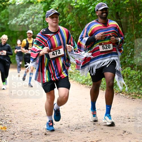 11.10.2026 - Bramfelder Halbmarathon 2026 Dr. Thomas Lammeyer http://msf.ph/oto/10817456 11.10.2026 09:57:27 Laufen 217, 217, 472, 520 meine-sportfotos.de