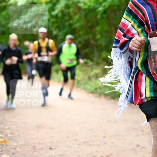 11.10.2026 - Bramfelder Halbmarathon 2026 Dr. Thomas Lammeyer http://msf.ph/oto/10817464 11.10.2026 09:57:28 Laufen 35, 472 meine-sportfotos.de