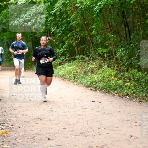 11.10.2026 - Bramfelder Halbmarathon 2026 Dr. Thomas Lammeyer http://msf.ph/oto/10817517 11.10.2026 09:57:46 Laufen 20, 585 meine-sportfotos.de