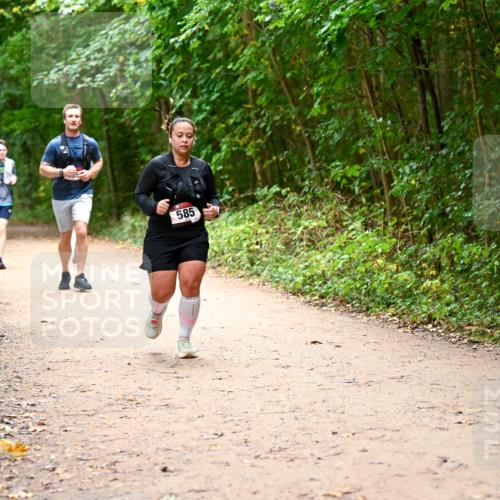 11.10.2026 - Bramfelder Halbmarathon 2026 Dr. Thomas Lammeyer http://msf.ph/oto/10817520 11.10.2026 09:57:47 Laufen 585 meine-sportfotos.de