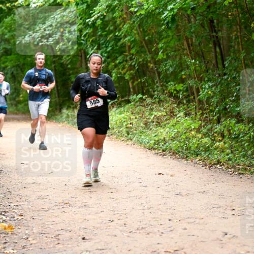 11.10.2026 - Bramfelder Halbmarathon 2026 Dr. Thomas Lammeyer http://msf.ph/oto/10817521 11.10.2026 09:57:47 Laufen 585 meine-sportfotos.de