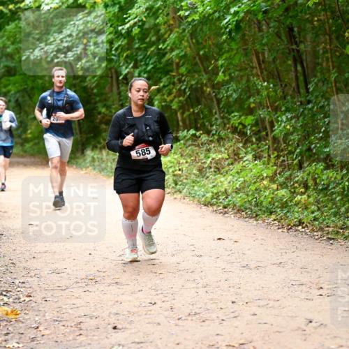 11.10.2026 - Bramfelder Halbmarathon 2026 Dr. Thomas Lammeyer http://msf.ph/oto/10817523 11.10.2026 09:57:47 Laufen 20, 585 meine-sportfotos.de